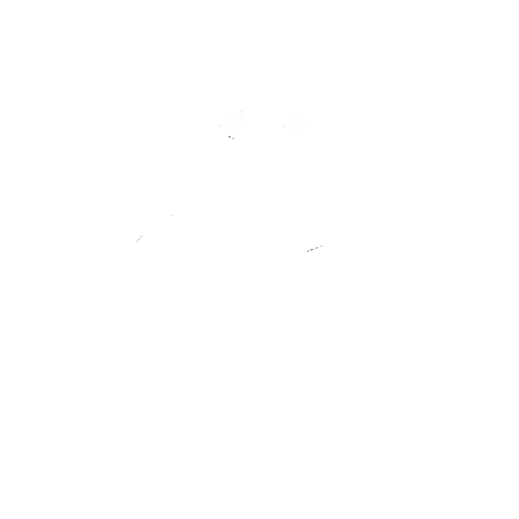 Fundación Contigo Siempre